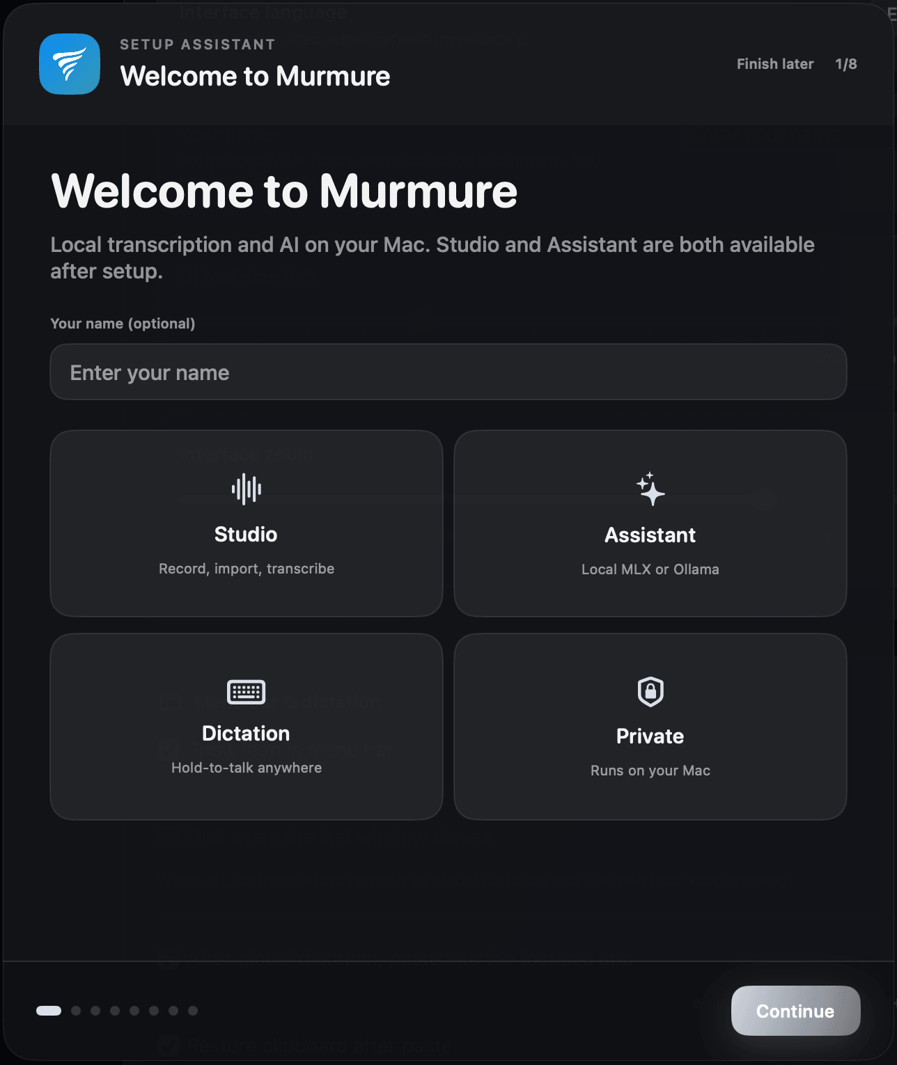 Setup assistant and local model placeholder