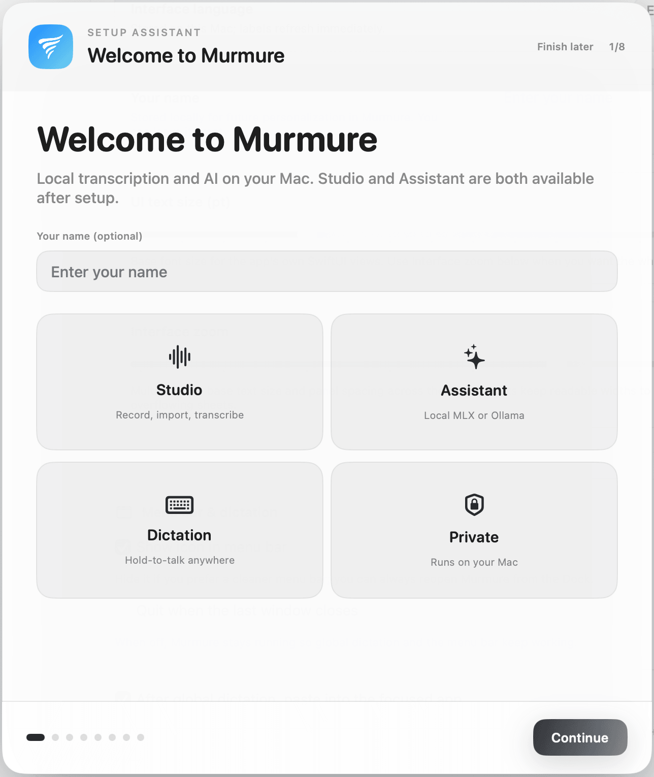 Setup assistant and local model placeholder